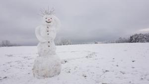 Ein Schneemann auf einer verschneiten Wiese
