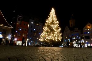 Beleuchteter Weihnachtsbaum im Hintergrund die Gebäude des Jenaer Marktes