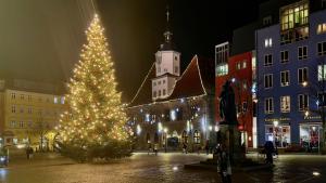 Weihnachtsbaum auf dem Jenaer Markt 2021
