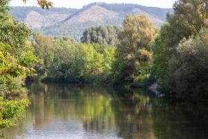 Flusslauf der Saale links und rechts grüne Bäume