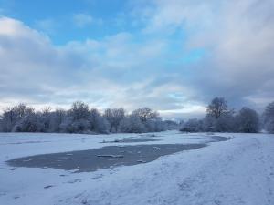 Ein fast zugefrorener See inmitten einer Schneelandschaft mit Büschen und Bäumen