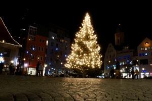 Beleuchteter Weihnachtsbaum im Hintergrund die Gebäude des Jenaer Marktes